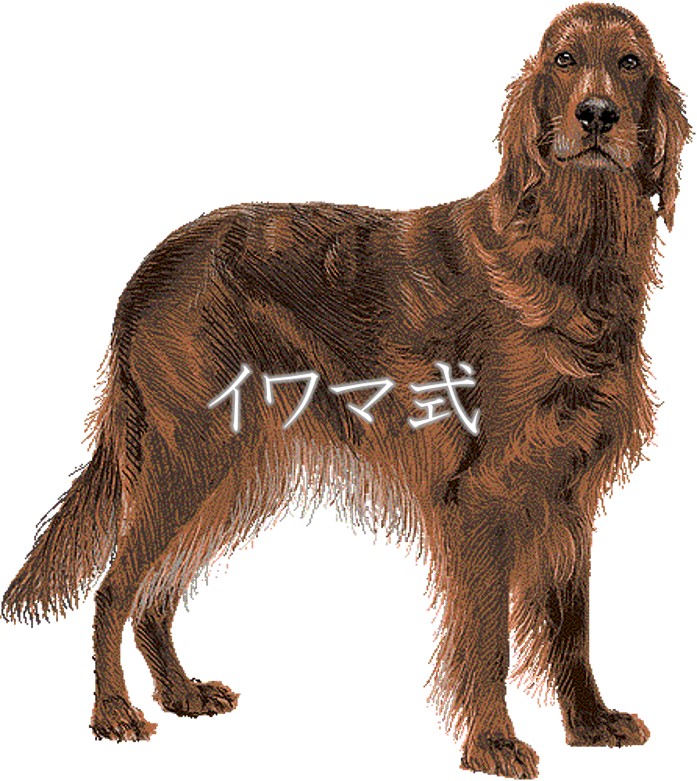 アイリシュセッター寿命